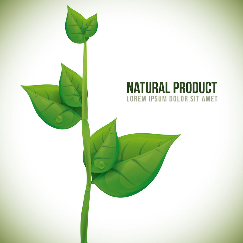 自然产品设计。