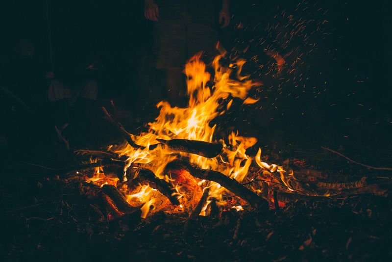 森林塔加篝火