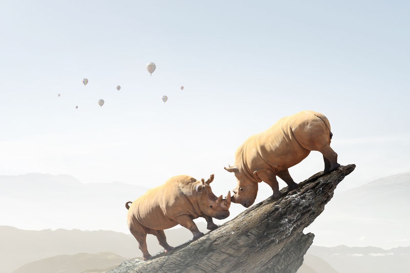 权力和领导理念。混合介质