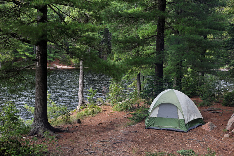湖边的绿色帐篷。拍摄于加拿大安大略省阿尔冈琴省公园。