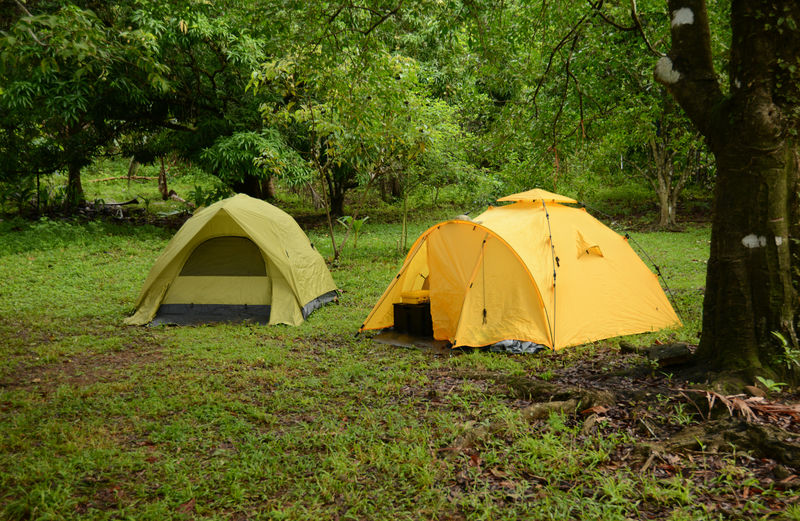 绿油油的露营地上有两顶帐篷