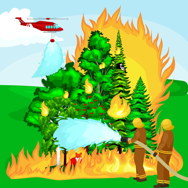 身穿防护服、头戴头盔的消防员用消防水龙带将危险的野火扑灭。消防员和救援直升机扑灭森林景观中的火灾