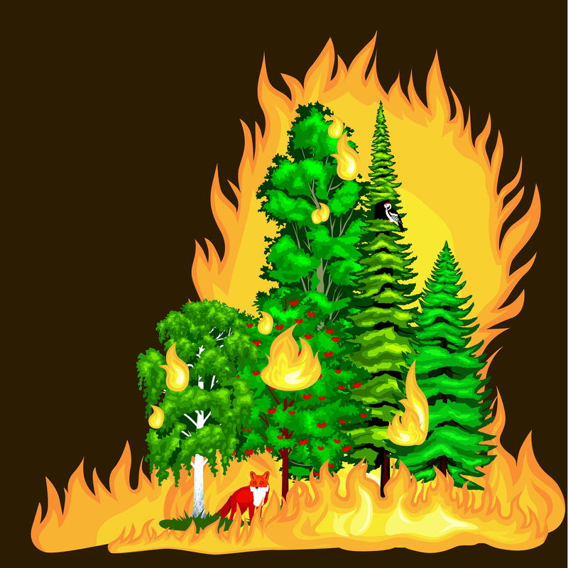 烧着的树怎么画图片