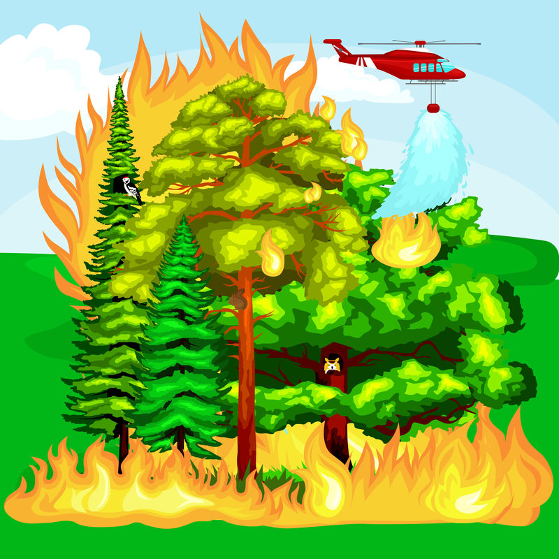 危险森林追加动画图片