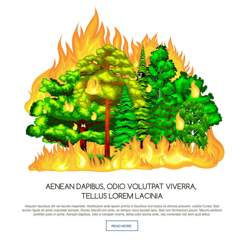 森林火灾，森林景观破坏中的火灾，自然生态灾害，火烧树木，危险森林火灾烟雾火焰，火烧木材背景矢量图。火烧树木红色和橙色