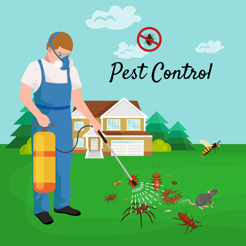 害虫控制概念与昆虫灭绝者轮廓矢量矢量图解