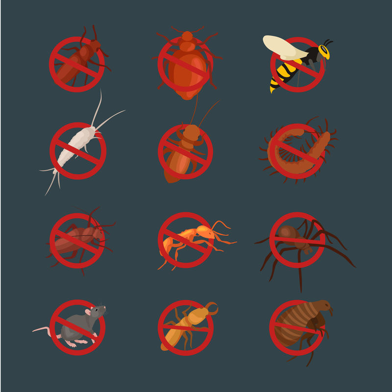 害虫控制概念与昆虫灭绝者轮廓矢量矢量图解