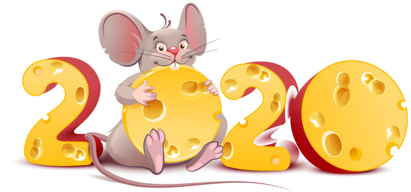 2020鼠年-可爱的卡通老鼠拿着奶酪-孤立于白色矢量图上
