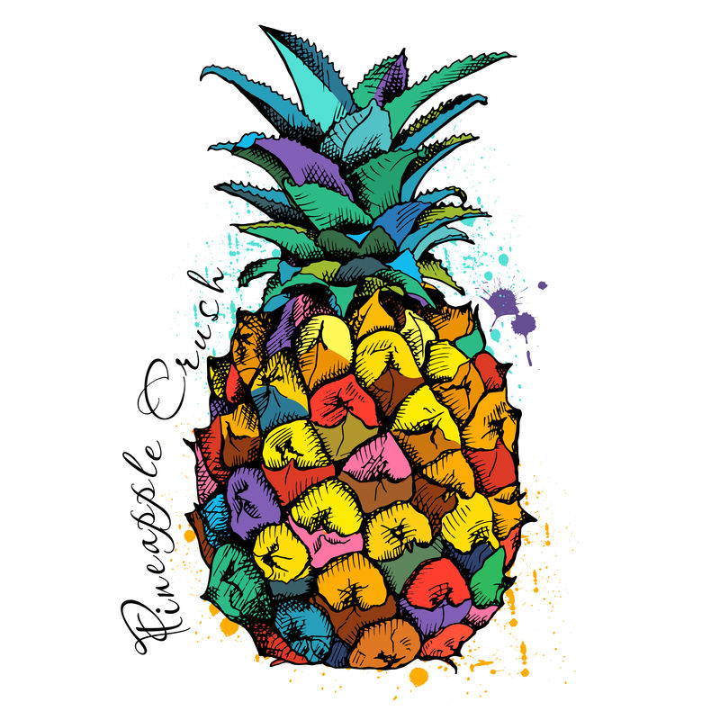 有菠萝水果图案的明亮海报-矢量图解
