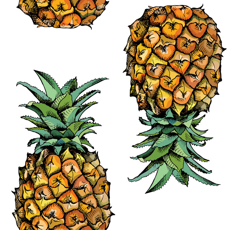 无缝图案与菠萝果的彩色图像