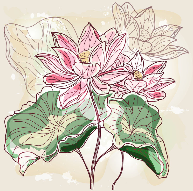 Eps10矢量手绘睡莲