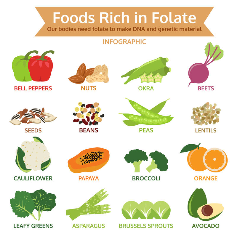 富含叶酸、蔬菜和水果的食物图标矢量说明