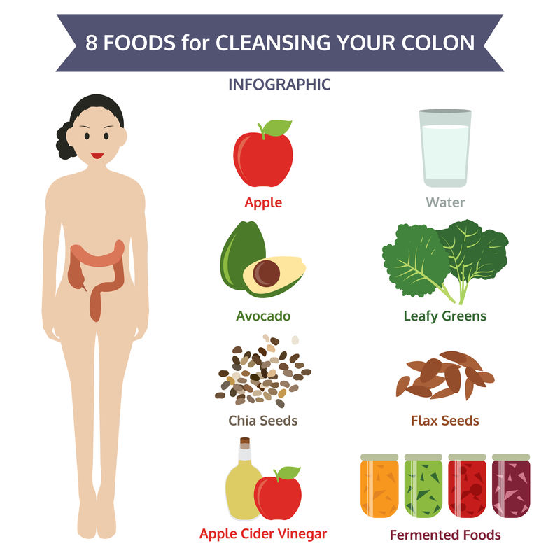 8种清洁结肠的食物,信息图形食物,vector illu