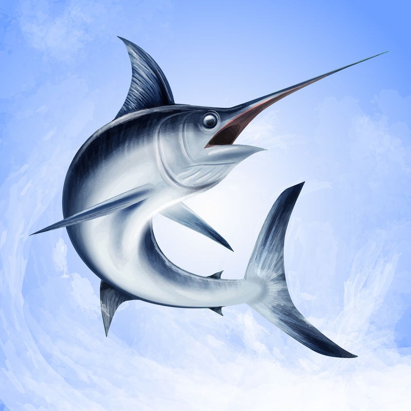 蓝马林跳跃-在白色背景上孤立的矢量图示