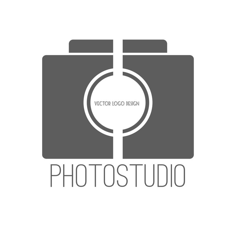 矢量摄影标志模板收集。光照标记类型。摄影年份徽章和图标。照片标签。