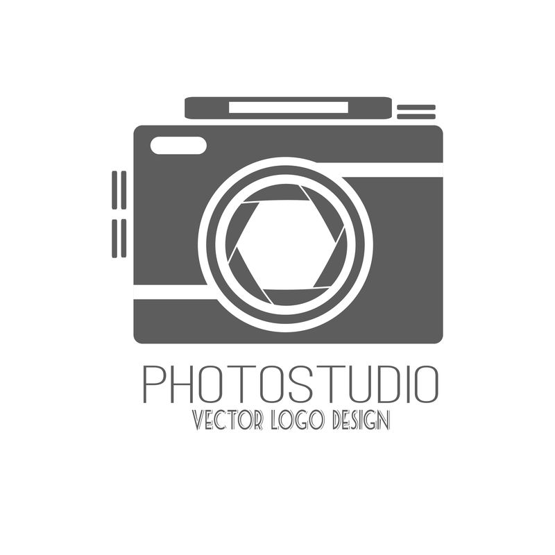 矢量摄影标志模板收集。光照标记类型。摄影年份徽章和图标。照片标签。