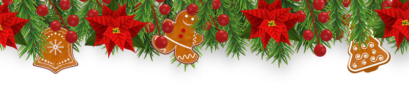 用冷杉枝 一品红 冬青浆果 姜饼饼干和金色丝带装饰圣诞边界 在白色背景上隔离的xmas设计元素 矢量图解素材 高清图片 摄影照片 寻图免费打包下载