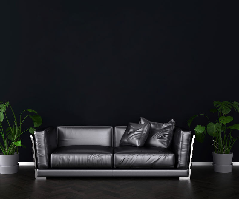 深色内部背景，空白相框模拟