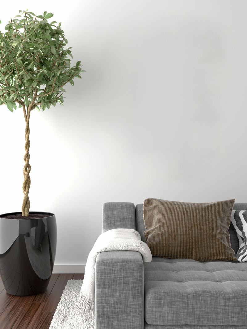 墙上的空白相框把你的创造物放在这个emp里