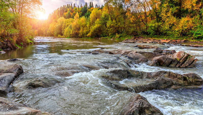 秋天的风景美丽的五颜六色的树木在山河上-在阳光下熠熠生辉-美丽如画的背景-大自然的色彩-美丽的景色-Instagram过滤器