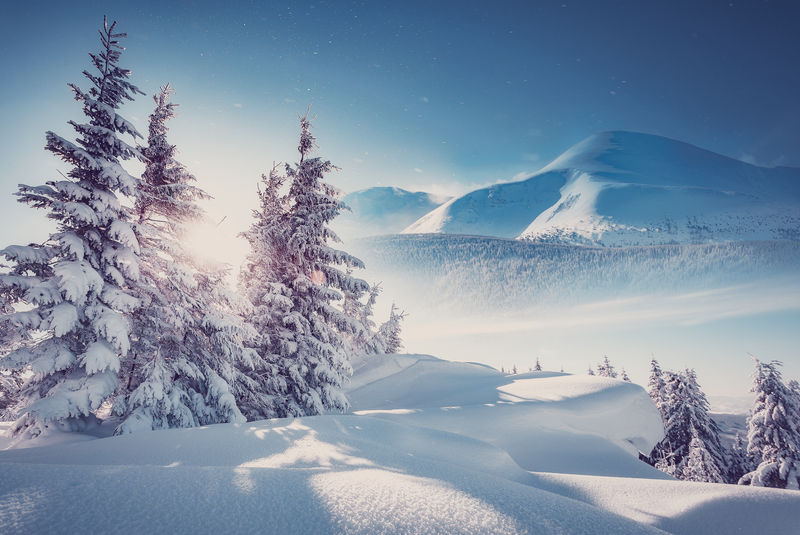 冬日巍峨的喀尔巴阡山脉-美丽的冬日景色-阳光明媚的高山高原-雪山雪白云杉-阳光在雪地里闪闪发光