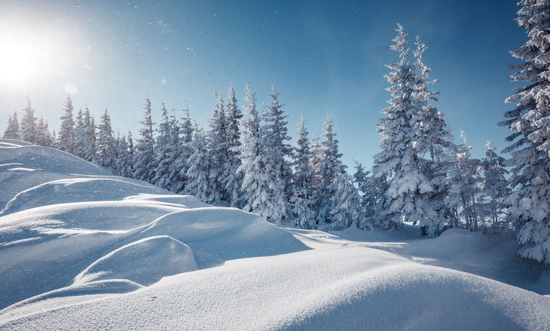 山间冬日的日落-冬天的场景-冰冻的树发出耀眼的阳光-夕阳下的松林-圣诞节背景-美丽的自然风光-冬天的景色