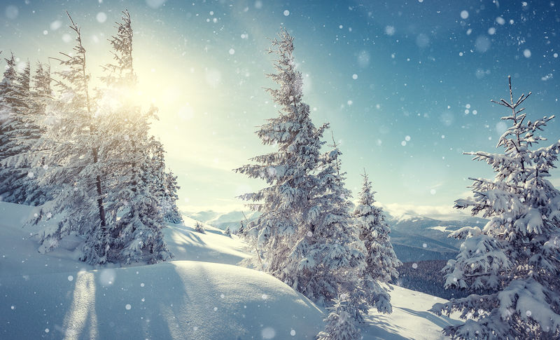 奇妙的冬季景观 阿尔卑斯山冬季森林中壮丽的日落 阳光在雪地里闪闪发光 夕阳下童话森林的风景意象 圣诞节背景素材 高清图片 摄影照片 寻图免费打包下载