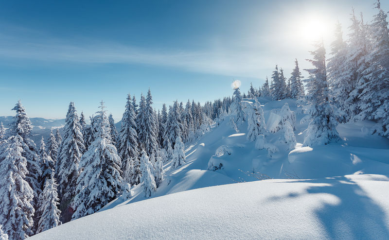 山间冬日的日落 冬天的场景 冰冻的树发出耀眼的阳光 夕阳下的松林 圣诞节背景 美丽的自然风光 冬天的景色素材 高清图片 摄影照片 寻图免费打包下载