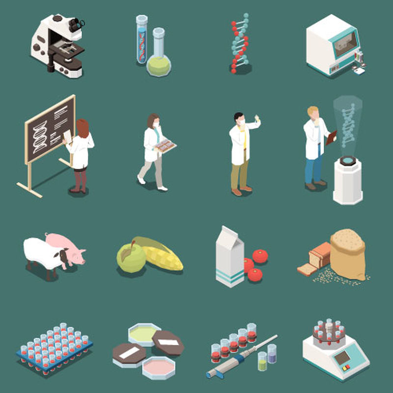 基因等距图标集与科学家设备食品和动物三维分离载体图解