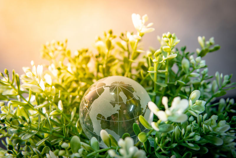 绿叶灌木丛上的世界球形囊性玻璃-环境保护-世界环境日-全球商业促进可持续发展-自然与生态概念