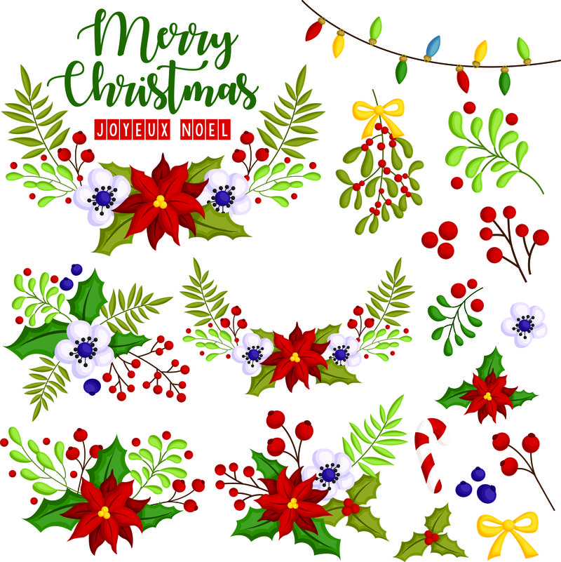 装在美丽的圣诞花环中的一套矢量花