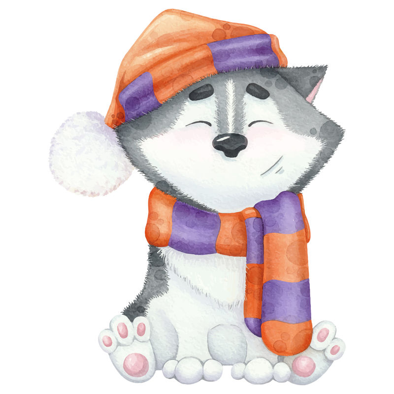 可爱的水彩画哈士奇在围巾和帽子。新年可爱的伊卢