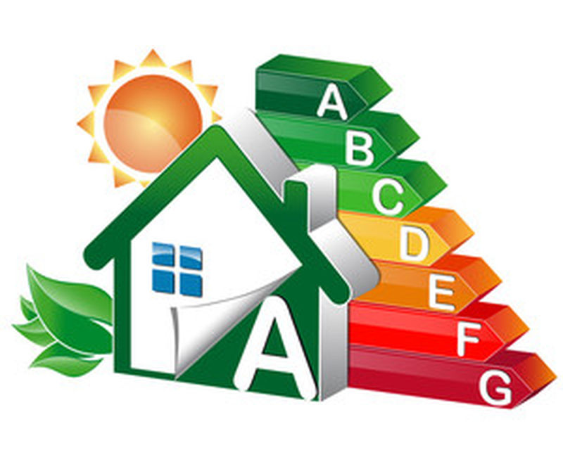 阳光与树叶的可持续发展之家