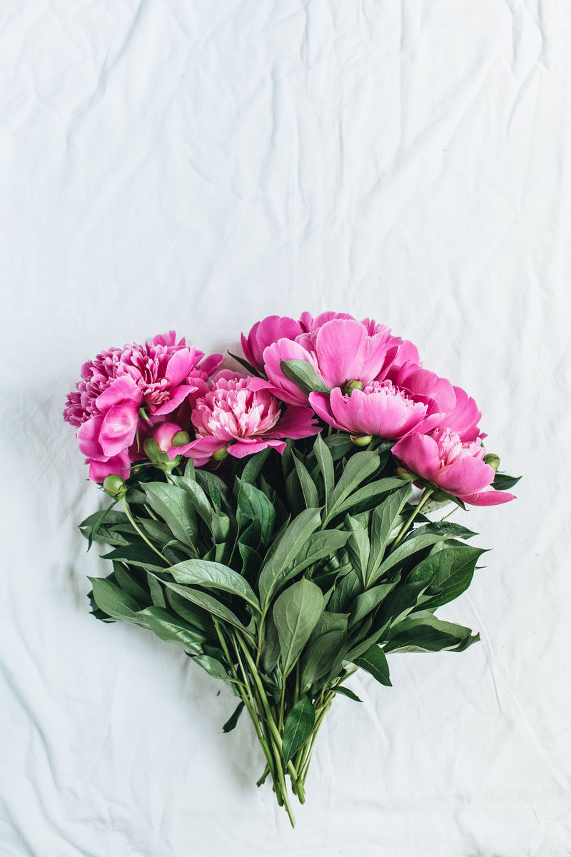 简约夏季花卉概念