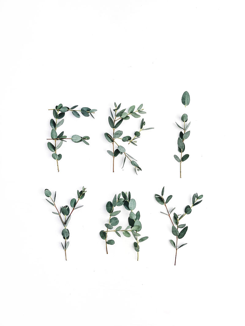 桉树树叶的平铺