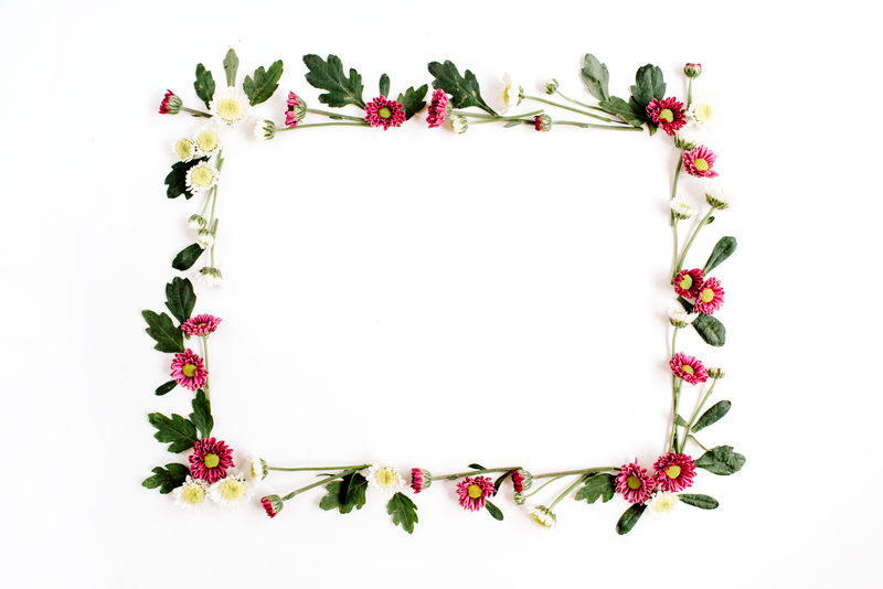 白底红白野花花环