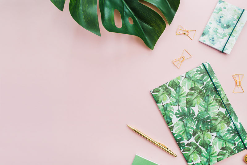 绿叶的笔记本和金笔平放