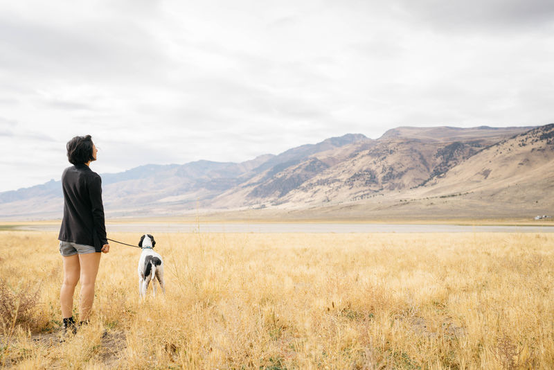 白天站在棕色草地上的狗旁边的女人