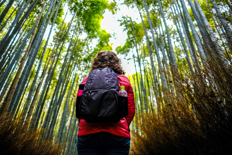 站在竹林下的女人