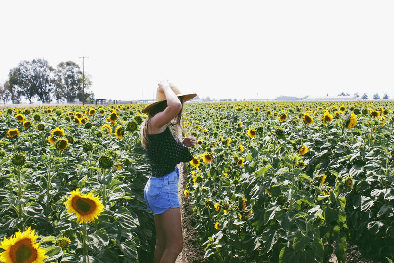 白天站在向日葵地上的女人