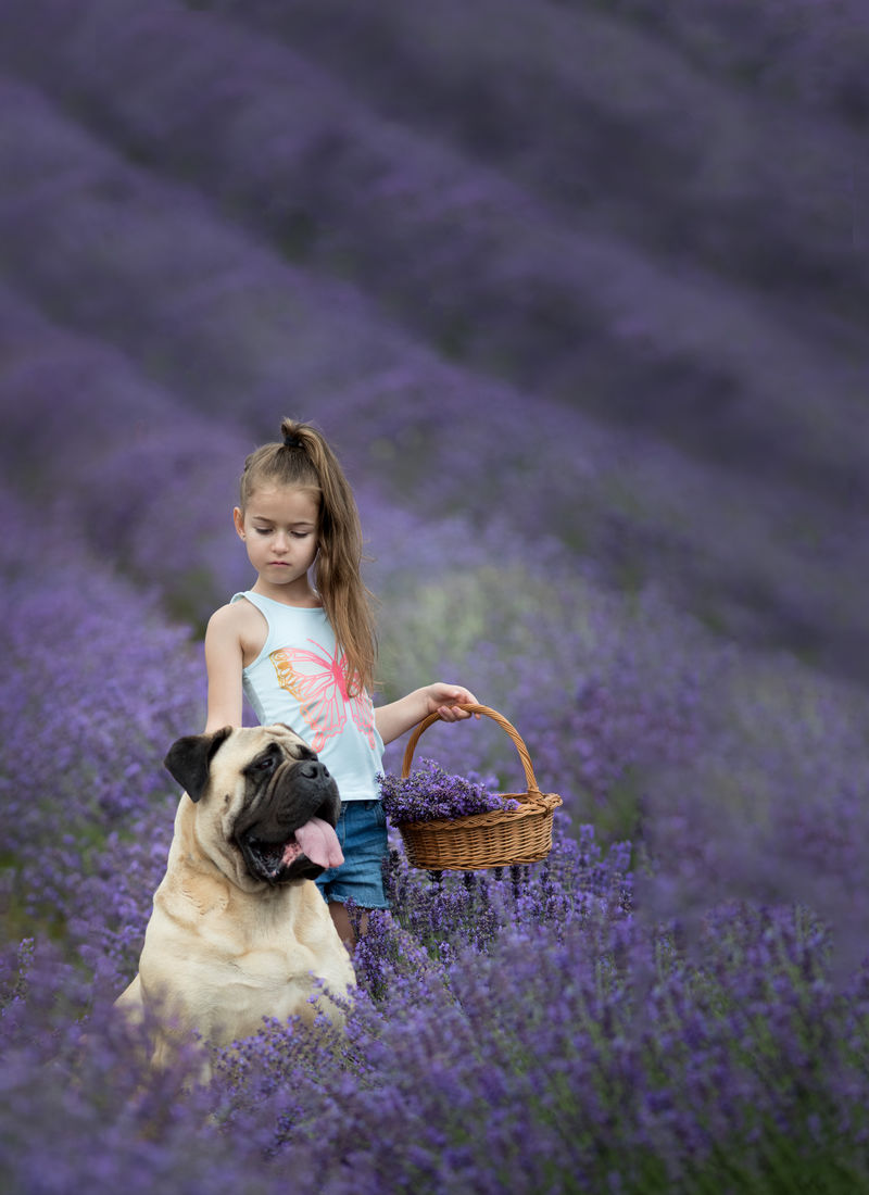 白天带着花篮站在狗旁边的女孩