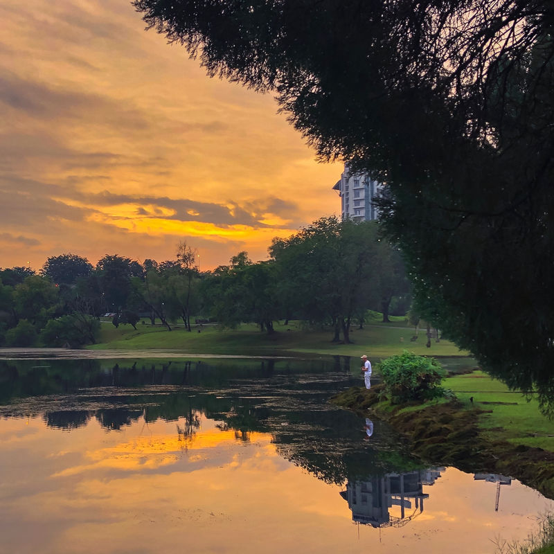 靠近水体的白房子和黑房子