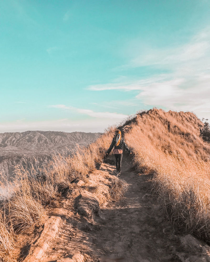 站在棕色草地之间的女人