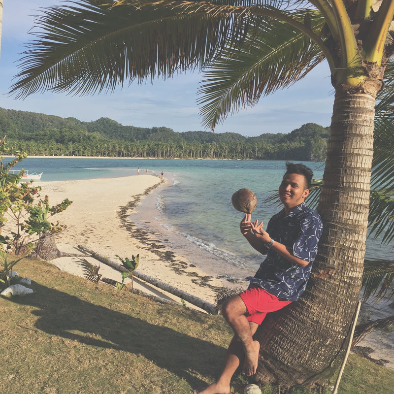 白天人们靠在海边的绿色棕榈树上