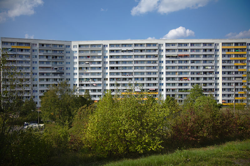 树木环绕的高层建筑