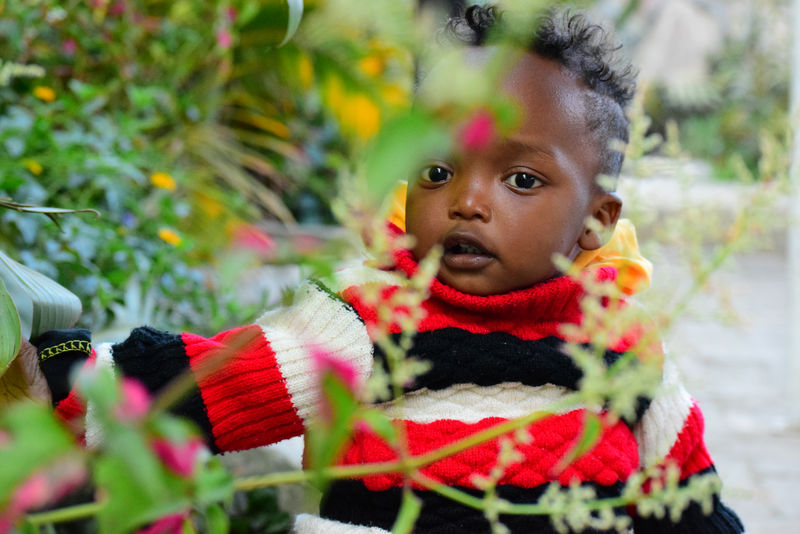 绿色植物旁的婴儿