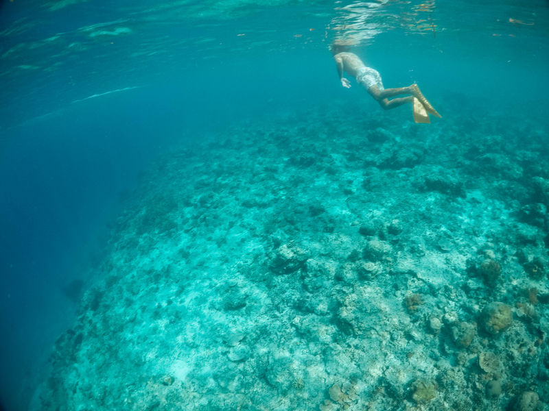 在海上游泳的人