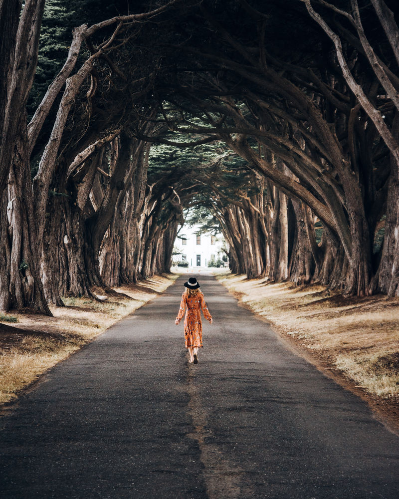 站在树覆盖的街道上的女人
