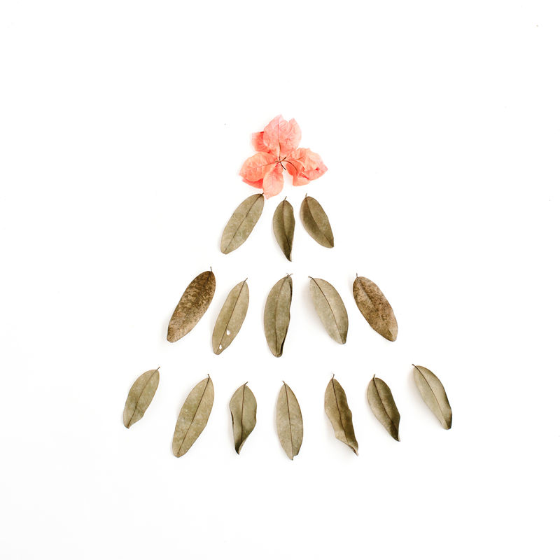 用干树叶和红色花蕾做成的杉树-平放-俯视图-圣诞节或新年背景