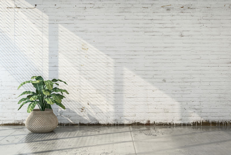 大盆栽裸顶棚改造